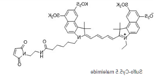 Sulfo-cyanine5.5 maleimide.png Sulfo-cyanine5.5 maleimide.png