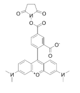 5-TAMRA-SE|cas号150810-68-7|5-羧基四甲基罗丹明琥珀酰亚胺酯.png 5-TAMRA-SE|cas号150810-68-7|5-羧基四甲基罗丹明琥珀酰亚胺酯.png