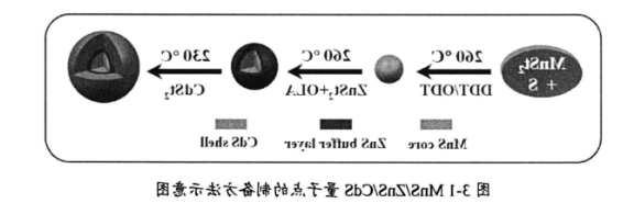 锰掺杂硫化镉量子点 锰掺杂硫化镉量子点