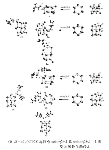 L-半胱氨酸-CdS量子点.png L-半胱氨酸-CdS量子点.png