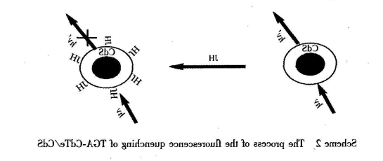 TGA-CdTe/CdSQDs.png