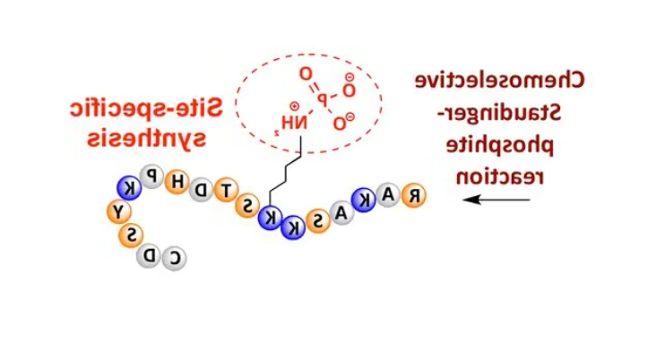 Dab-YEC-Hyp-Y(3-CL)-GVCYIQ.png