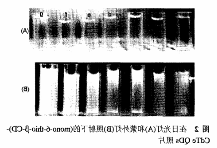 (mono-6-thio-B-CD)-CdTe.png