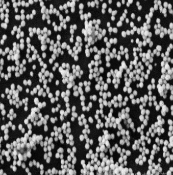 MAL-Gold Nanoparticle/Au nanoparticles纳米金颗粒/金纳米粒子.png