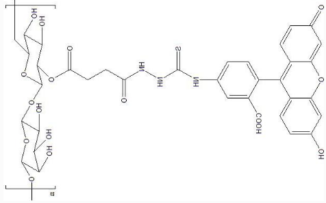 FITC-Dextran|荧光标记葡聚糖(葡聚糖分子量可选).png