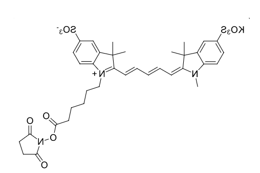 磺酸基-Cy5-N-羟基琥珀酰亚胺酯.png
