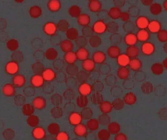 彩色乳胶微球