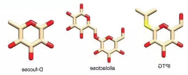 小分子** 小分子**