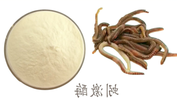 蚓激酶