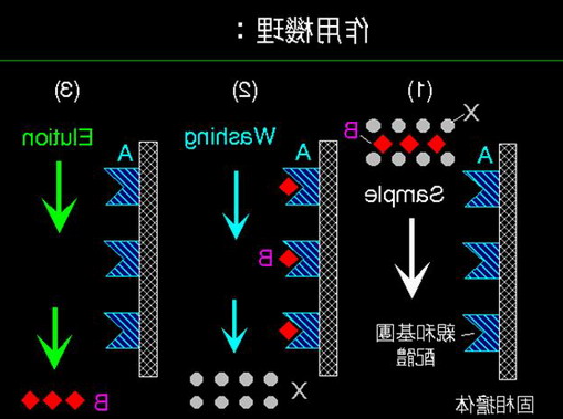 亲和层析