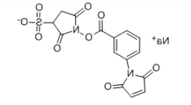 m-马来酰亚胺苯甲酸琥珀酰亚胺酯 钠盐CAS:92921-25-0 