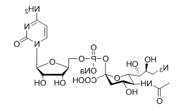 CMP-C9-Azido-Sialic Acid，5'-单磷酸胞苷修饰叠氮糖