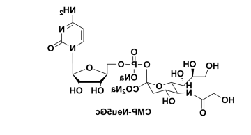 CMP-C9-Azido-Sialic Acid，5'-单磷酸胞苷修饰叠氮糖
