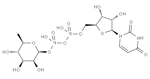 UDP-鼠李糖;尿苷-5'-二磷酸鼠李糖