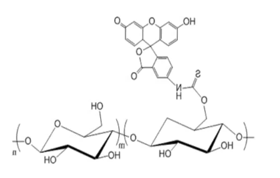 FITC-Dextran/FITC-葡聚糖(绿色荧光)