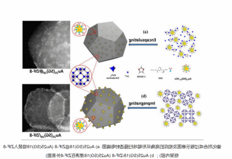 ICG-ZIF-8-DOX,吲哚菁绿-金属有机骨架-阿霉素 ICG-ZIF-8-DOX,吲哚菁绿-金属有机骨架-阿霉素