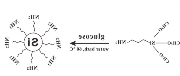 金核(75-100nm左右)sio2壳层(3-5nm) 金核(75-100nm左右)sio2壳层(3-5nm)