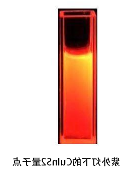 硫铟铜CuInS2量子点(quantum dots,QDs)红色粉末