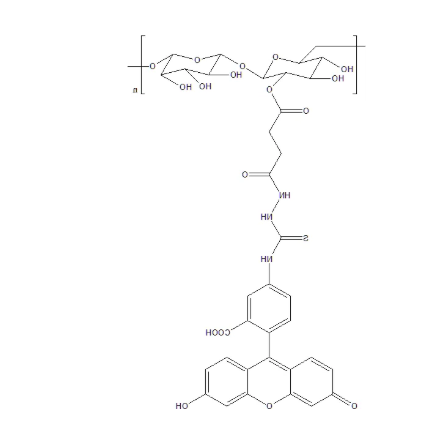 Dextran-Fluorescein