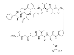 Gly3-vc-PAB-MMAE