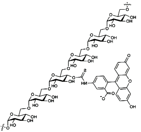 FITC-dextran