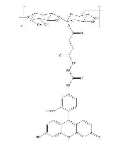 FITC-dextran