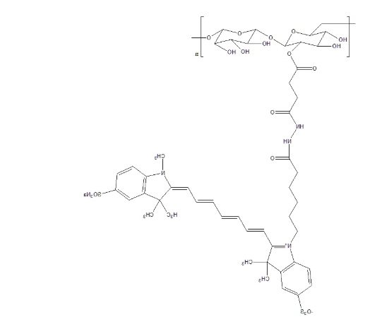CY7-Dextran