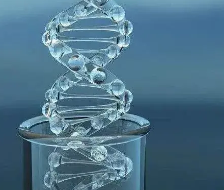 CY5-dextran
