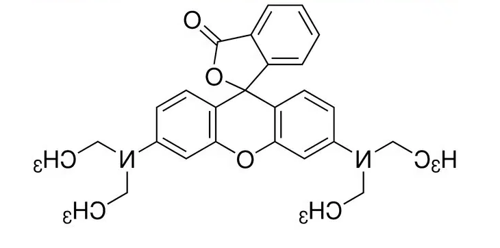 罗丹明B-色氨酸 罗丹明B-色氨酸