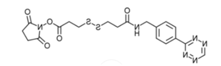 Tetrazine-SS-NHS