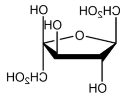 FITC- Fructose