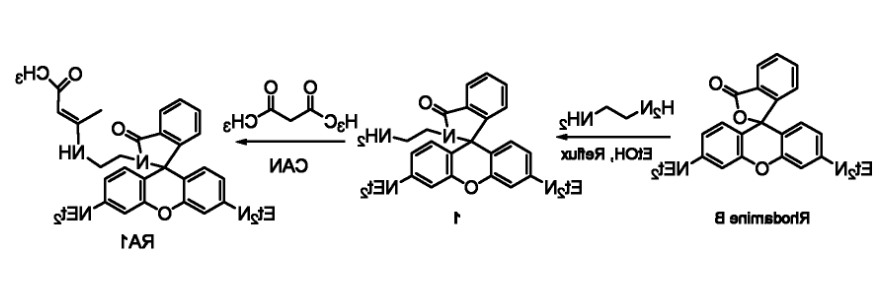 rhodamine B
