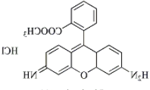 Rhodamine