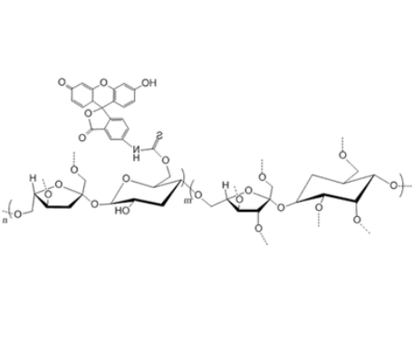 FITC-Polysucrose FITC-Polysucrose