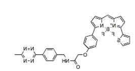 BDP TR methyltetrazine