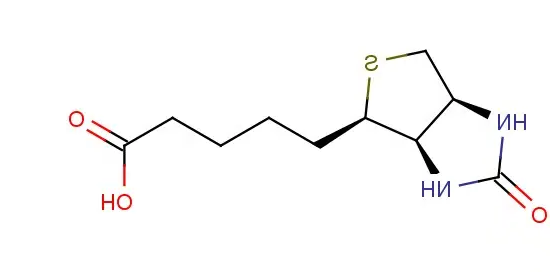 生物素