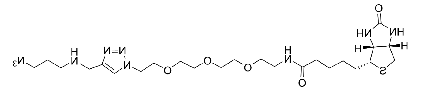 Biotin Azide Plus
