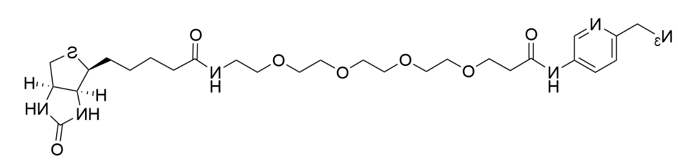 Biotin Picolyl Azide