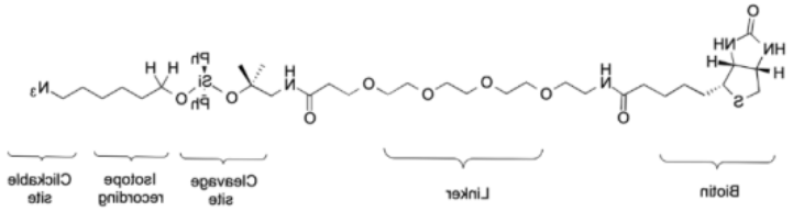 DADPS H2/D2 Biotin Alkyne Pack