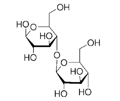 纤维二糖