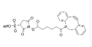 DBCO-Sulfo-NHS ester
