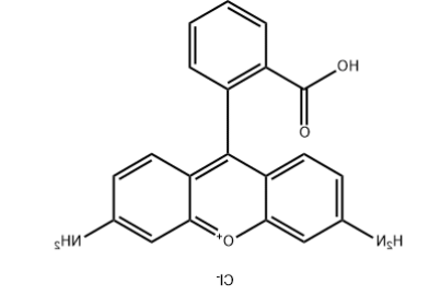 罗丹明标记肽