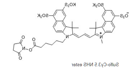Cy3.5-NHS ester