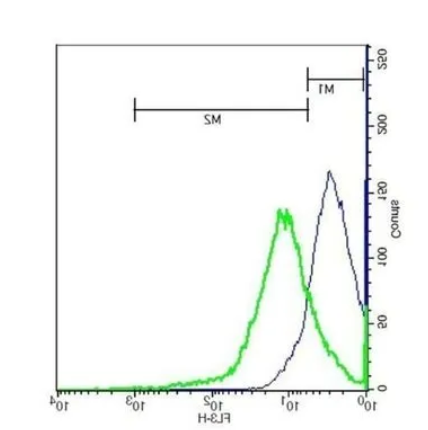 Cy5.5-conjugated