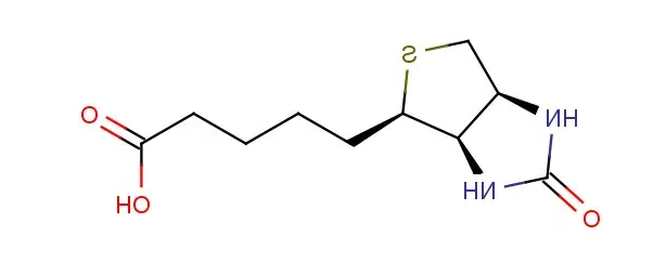 Biotin