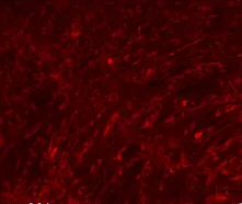 1650954039688575.png 微信截图_20220426142035.png