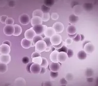 1650960355774364.png 微信截图_20220426160548.png