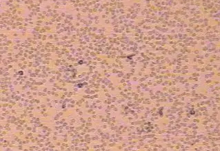 1650961275386937.png 微信截图_20220426162110.png
