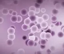 1651025845407583.png 微信截图_20220427101719.png