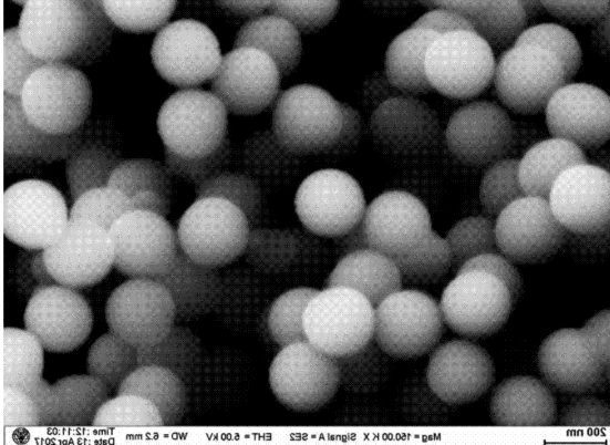 CNPS-SiO2